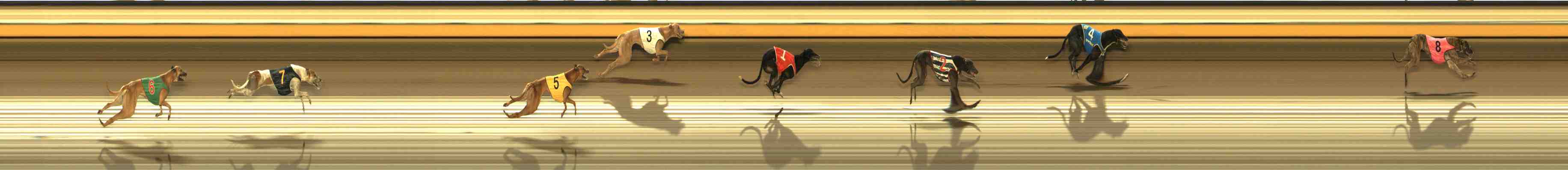 Photo finish for Warrnambool Race 10