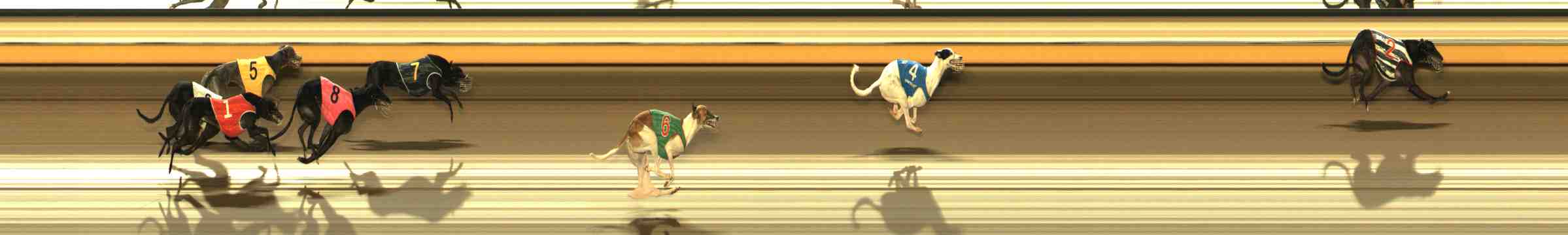 Photo finish for Warrnambool Race 11