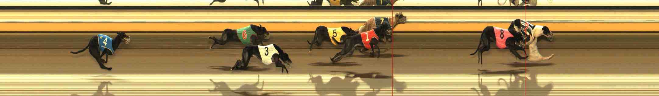 Photo finish for Warrnambool Race 12
