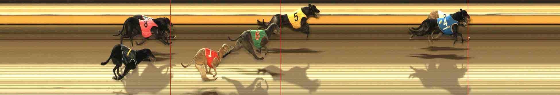 Photo finish for Warrnambool Race 13