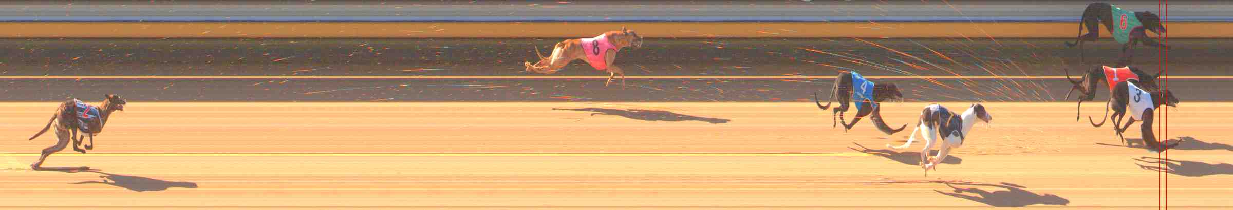 Race result finish photo
