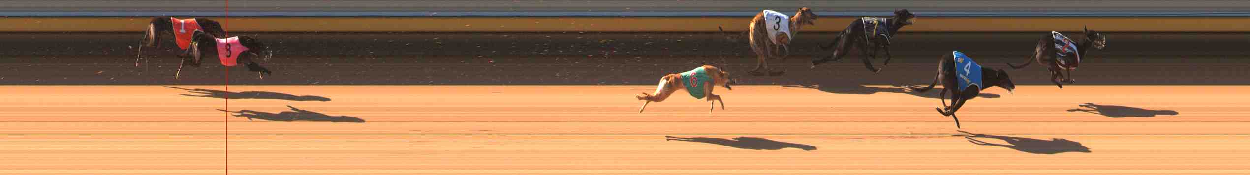 Photo finish for Warrnambool Race 2