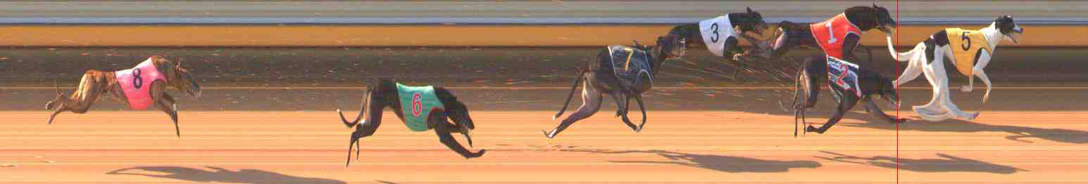 Photo finish for Warrnambool Race 3