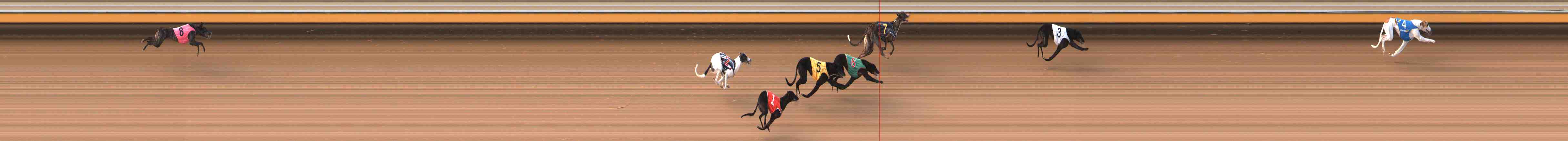 Photo finish for Warrnambool Race 4