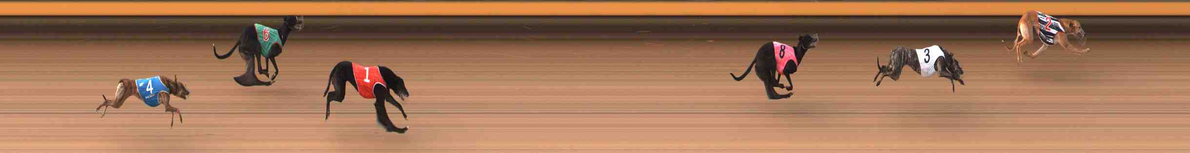 Photo finish for Warrnambool Race 5