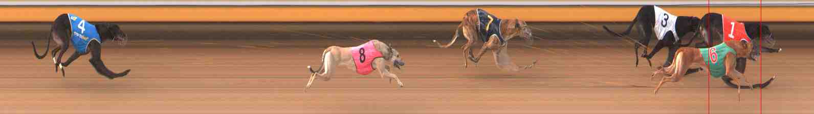Photo finish for Warrnambool Race 6