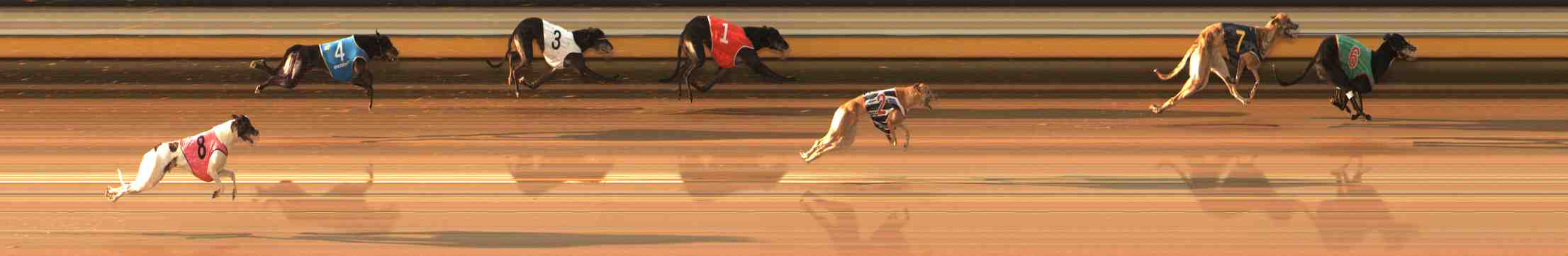 Photo finish for Warrnambool Race 7