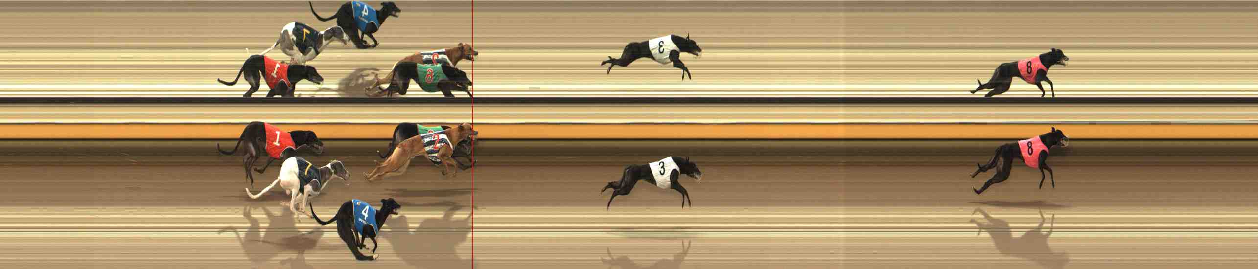 Photo finish for Warrnambool Race 8