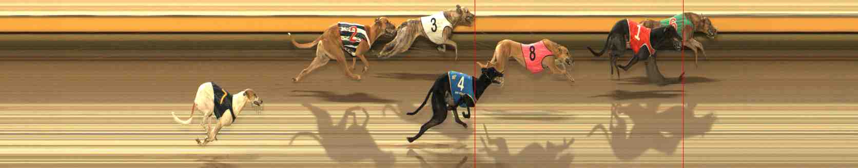 Photo finish for Warrnambool Race 9