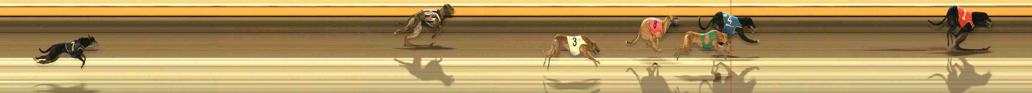 Photo finish for Warrnambool Race 10