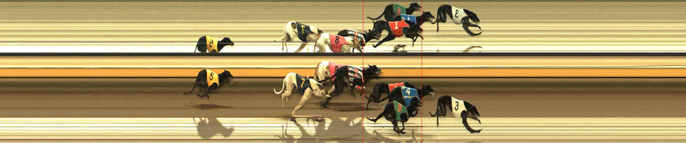 Photo finish for Warrnambool Race 11
