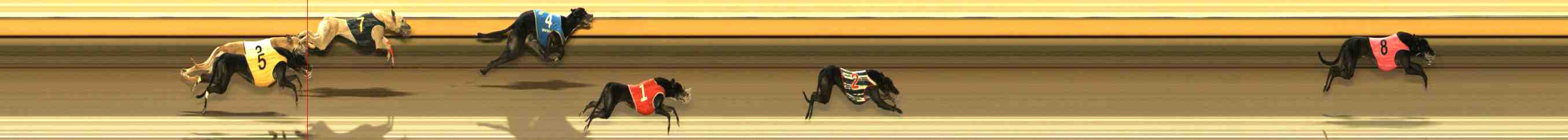 Photo finish for Warrnambool Race 12