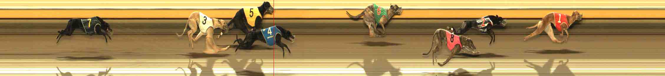 Photo finish for Warrnambool Race 13