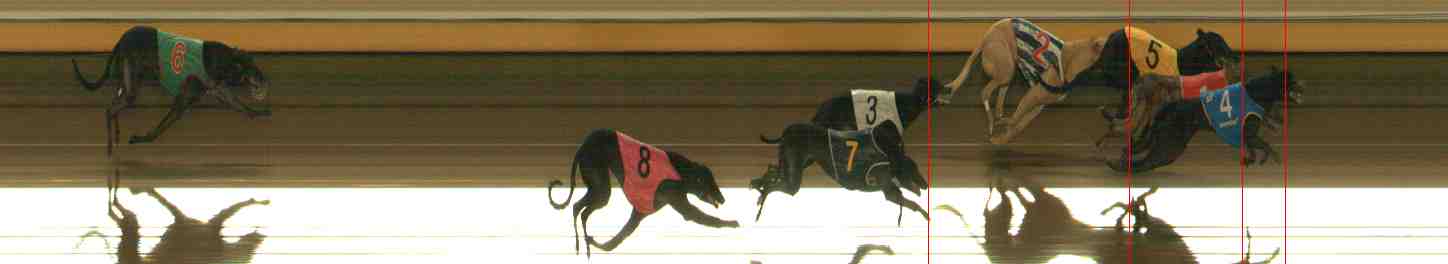 Photo finish for Warrnambool Race 2