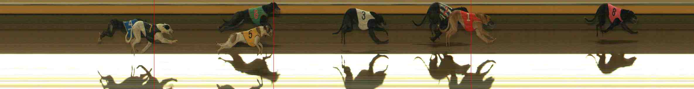 Photo finish for Warrnambool Race 3