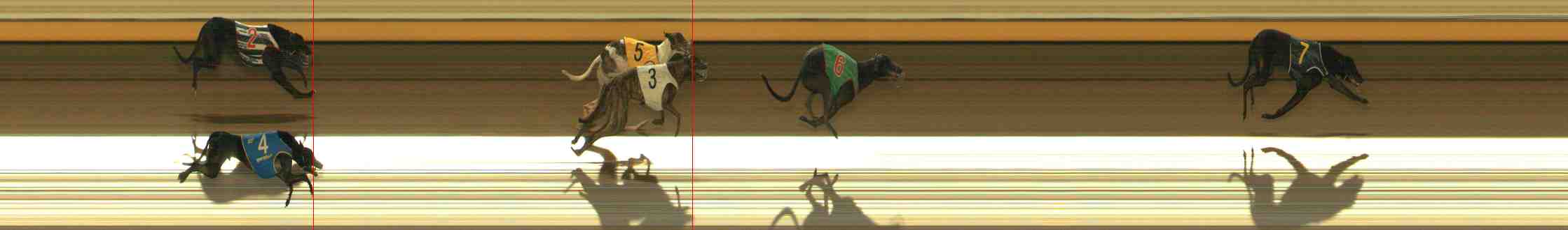 Photo finish for Warrnambool Race 4