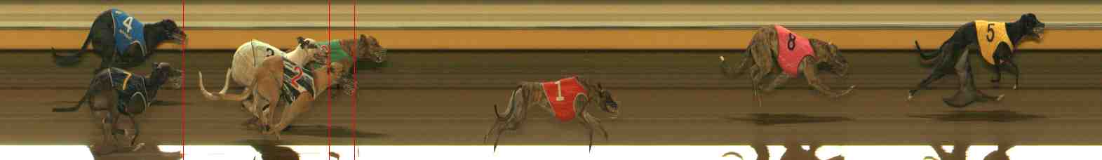Photo finish for Warrnambool Race 5