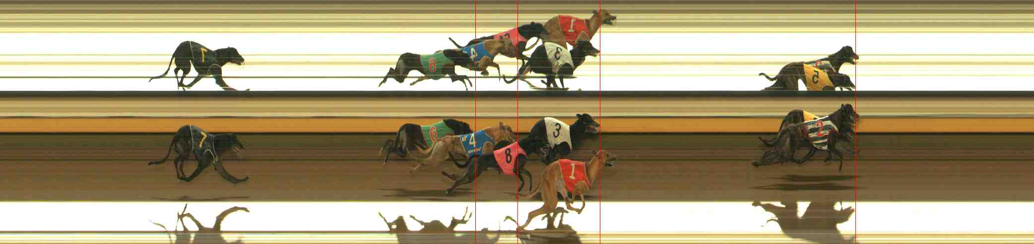 Photo finish for Warrnambool Race 6