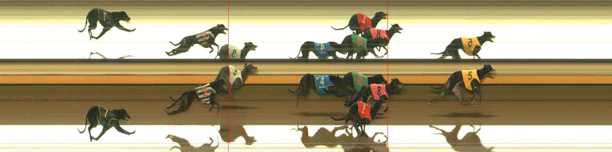 Photo finish for Warrnambool Race 7