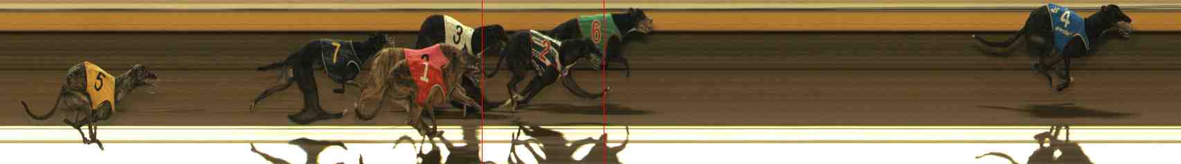 Photo finish for Warrnambool Race 8