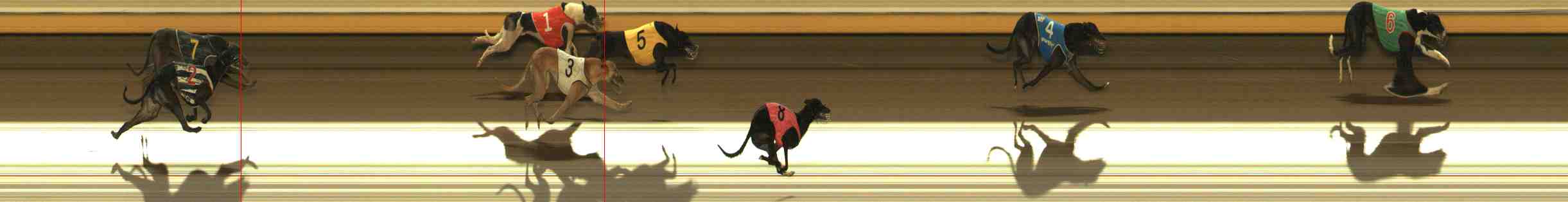 Photo finish for Warrnambool Race 9