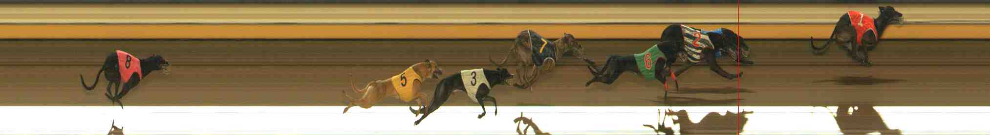 Photo finish for Warrnambool Race 10