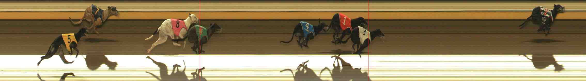 Photo finish for Warrnambool Race 11