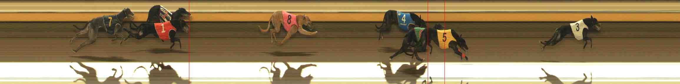 Photo finish for Warrnambool Race 12
