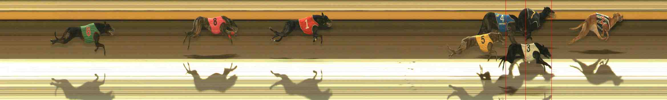 Photo finish for Warrnambool Race 13
