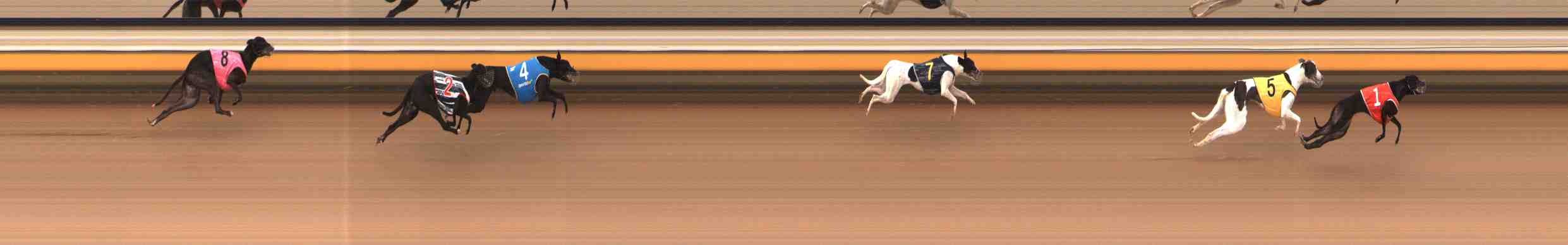 Photo finish for Warrnambool Race 2