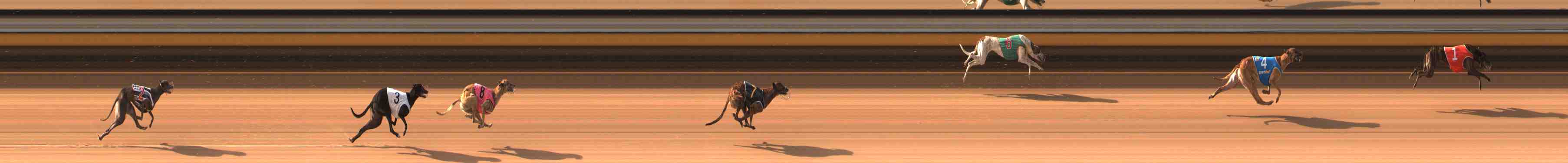 Photo finish for Warrnambool Race 3