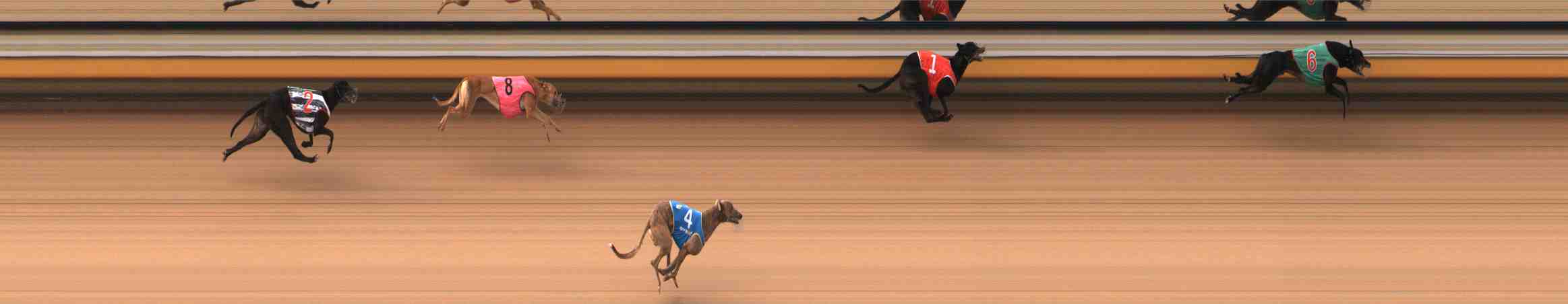 Photo finish for Warrnambool Race 4