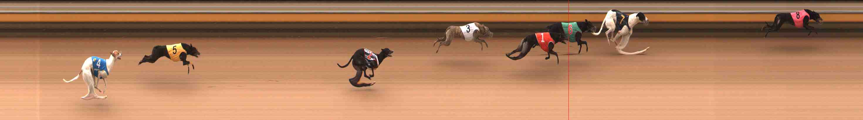 Photo finish for Warrnambool Race 5