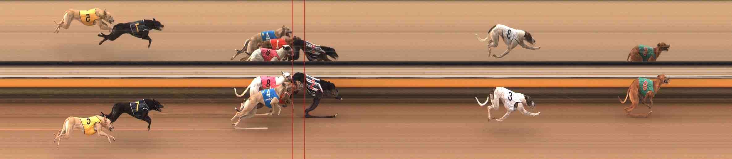 Photo finish for Warrnambool Race 6