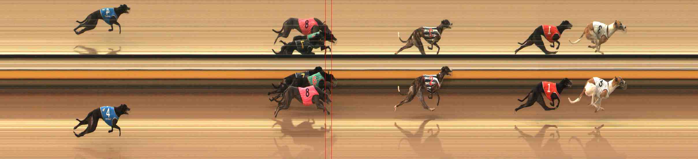 Photo finish for Warrnambool Race 7