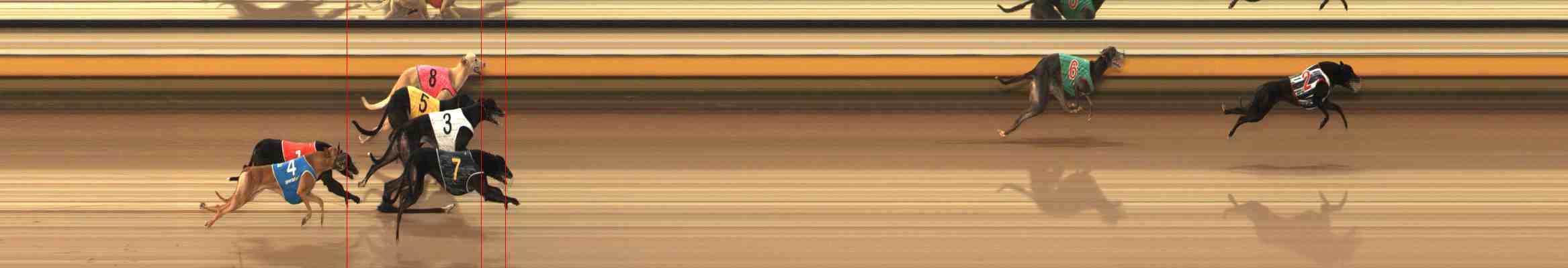 Photo finish for Warrnambool Race 8