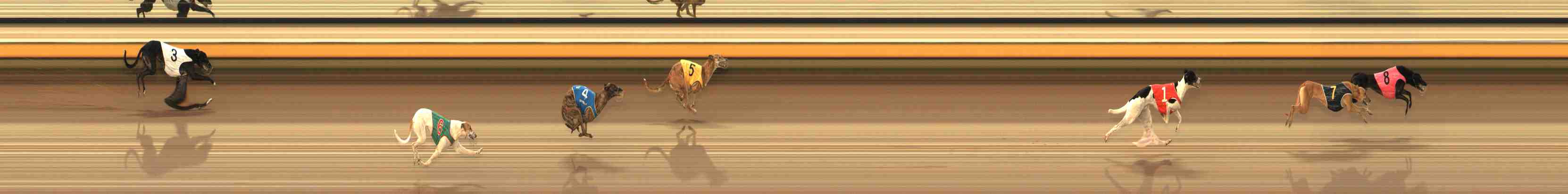 Photo finish for Warrnambool Race 9