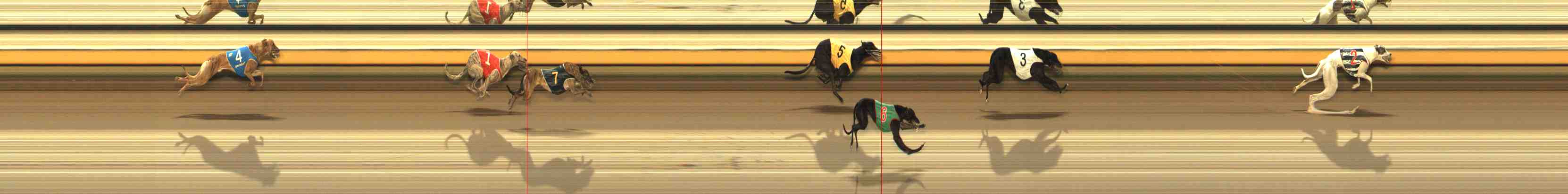 Photo finish for Warrnambool Race 10
