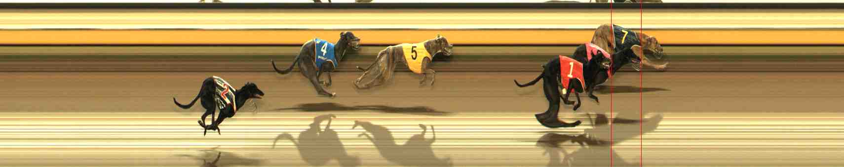 Photo finish for Warrnambool Race 11