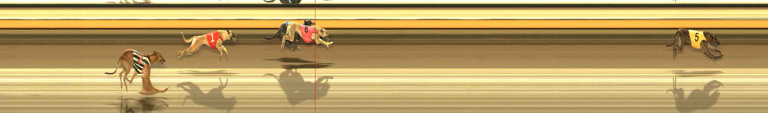 Photo finish for Warrnambool Race 12