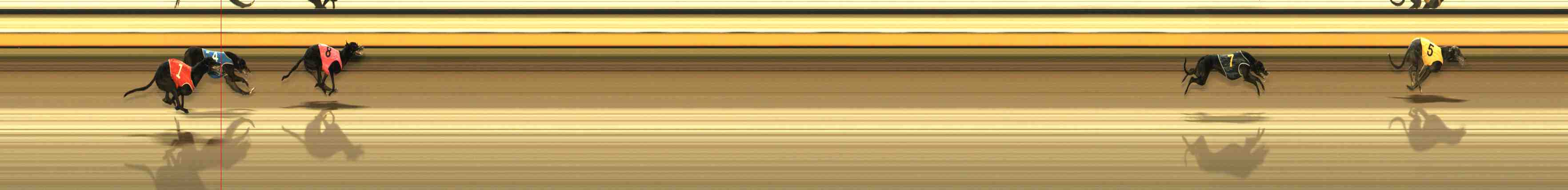 Photo finish for Warrnambool Race 13