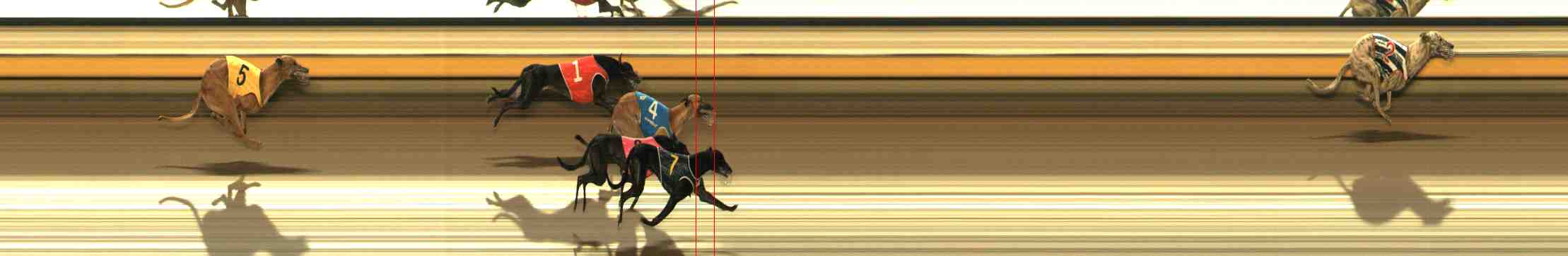 Photo finish for Warrnambool Race 2