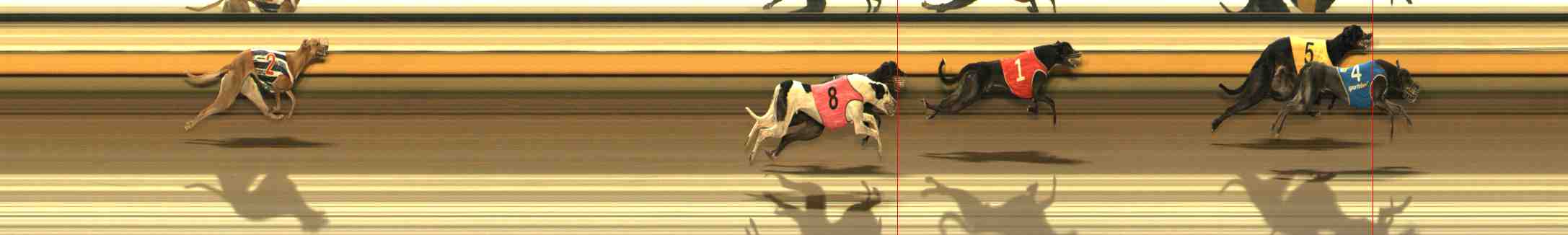 Photo finish for Warrnambool Race 3