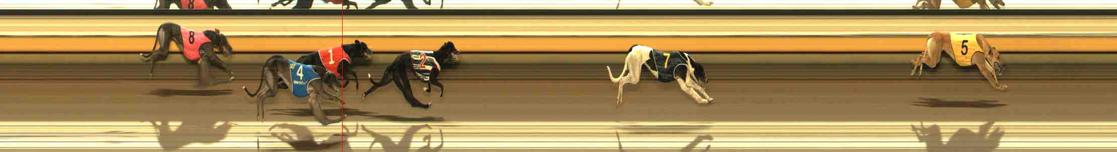 Photo finish for Warrnambool Race 4