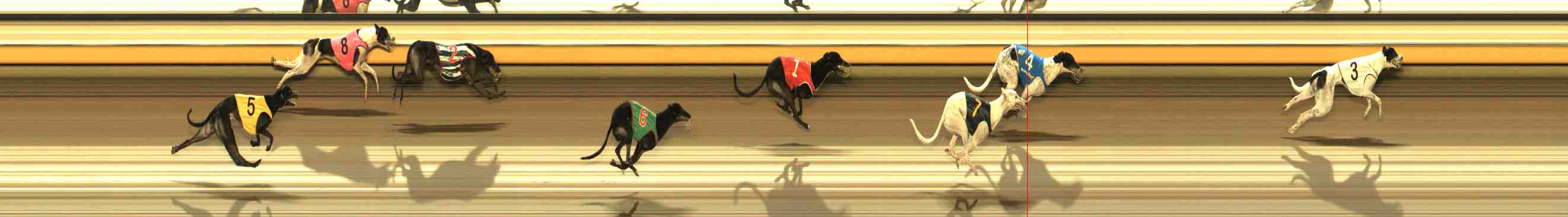 Race result finish photo