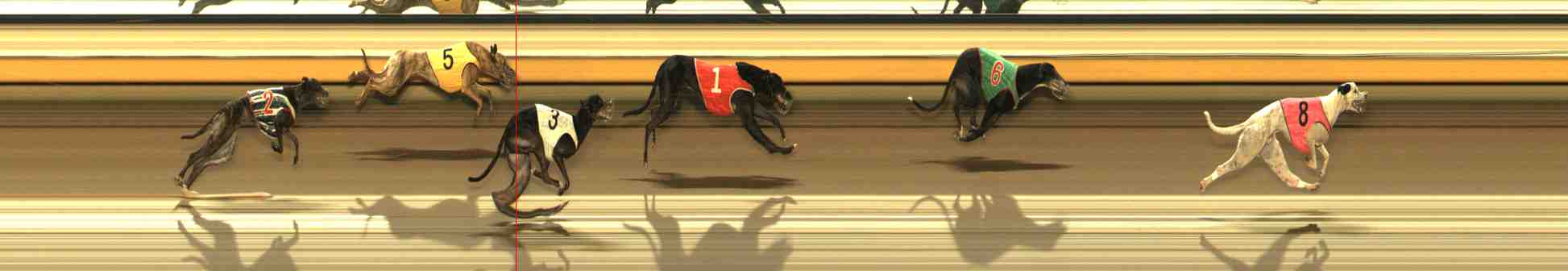 Photo finish for Warrnambool Race 8