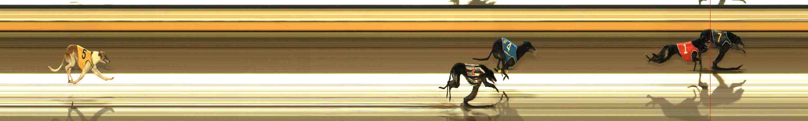 Race result finish photo