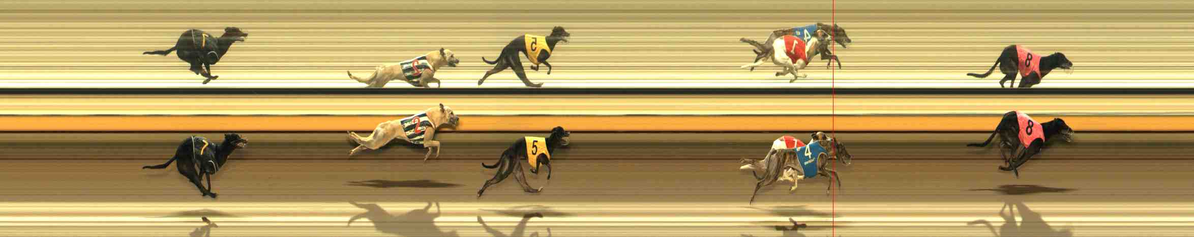 Photo finish for Warrnambool Race 11