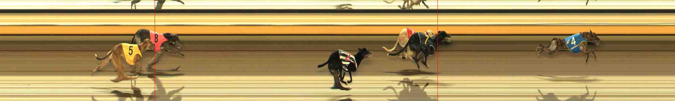 Photo finish for Warrnambool Race 12