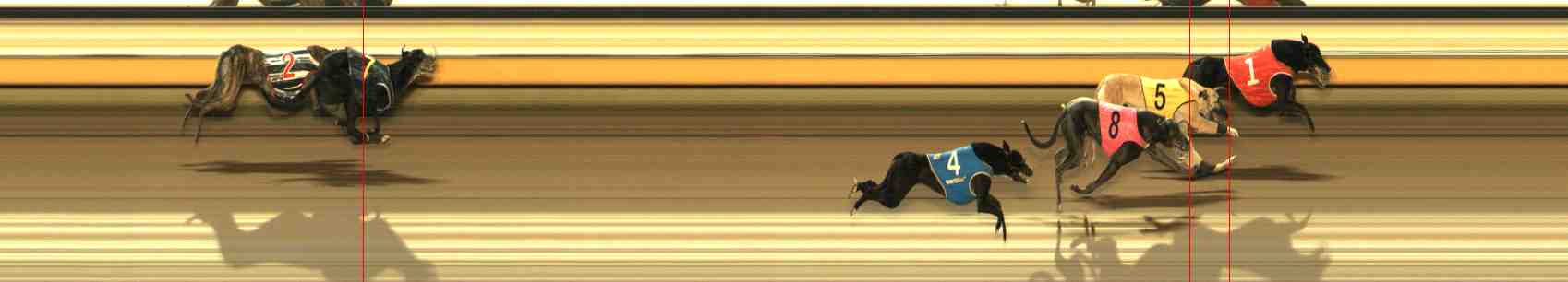 Photo finish for Warrnambool Race 13